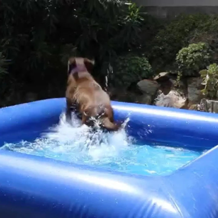 PVC Inflatable Dog Pool Foldable Pet Swimming Pool 6.5 FT