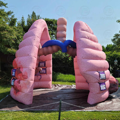 Modelo gigante inflable de pulmón para exposiciones de enseñanza médica