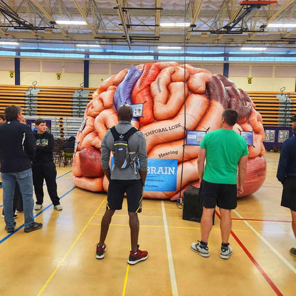 Inflatable Brain Model for Medical Exhibitions and Advertising