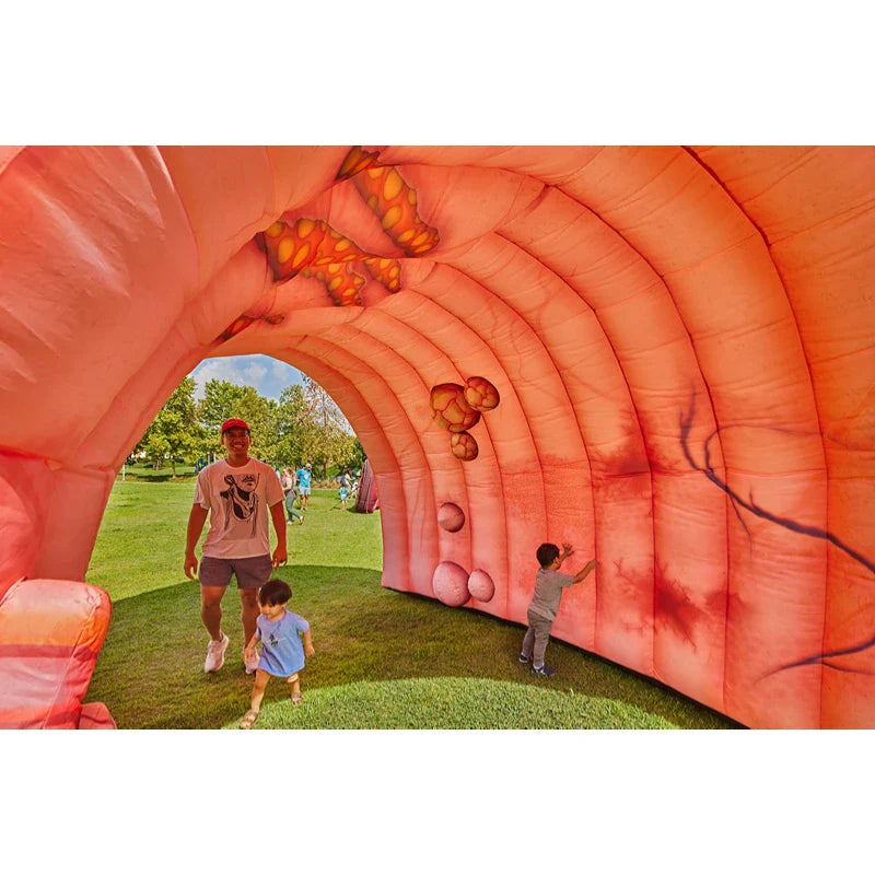 Inflatable Colon Tunnel Durable Educational Display