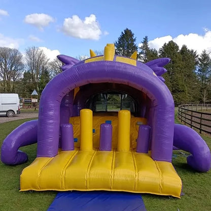 Large Inflatable Obstacle Course with Slide