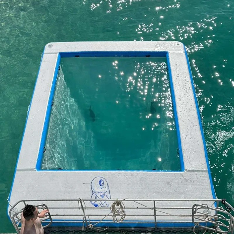 Inflatable Anti-Jellyfish Swimming Pool Oasis