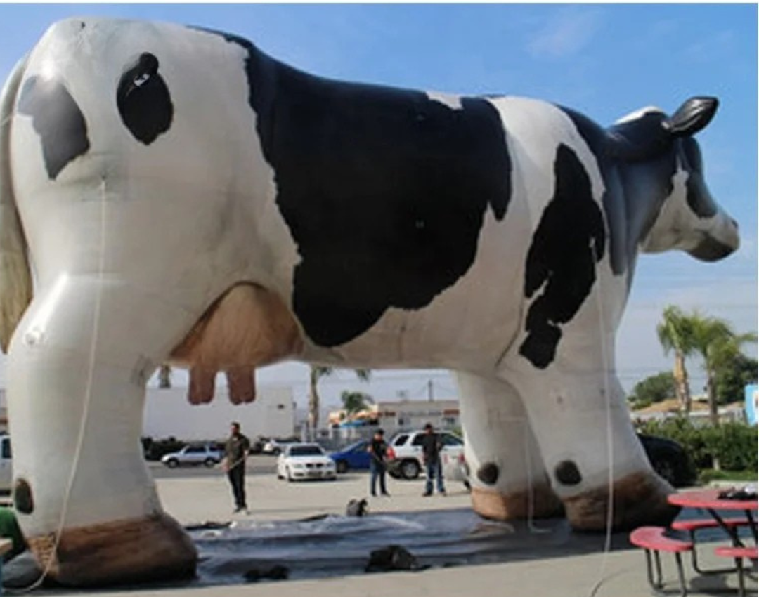 Inflatable Cow for Farm Promotion and Advertising