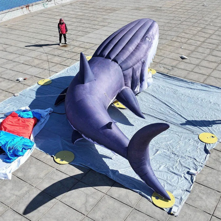 Escenario Gigante Inflable de Tiburón para Eventos Oceánicos