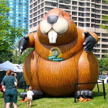 Castor Gigante Hinchable para Decoración del Día de la Marmota