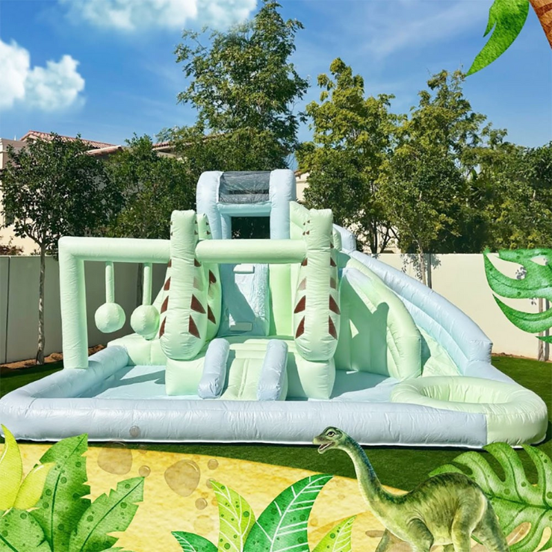 Outdoor Inflatable Bouncy Water Slide Pool