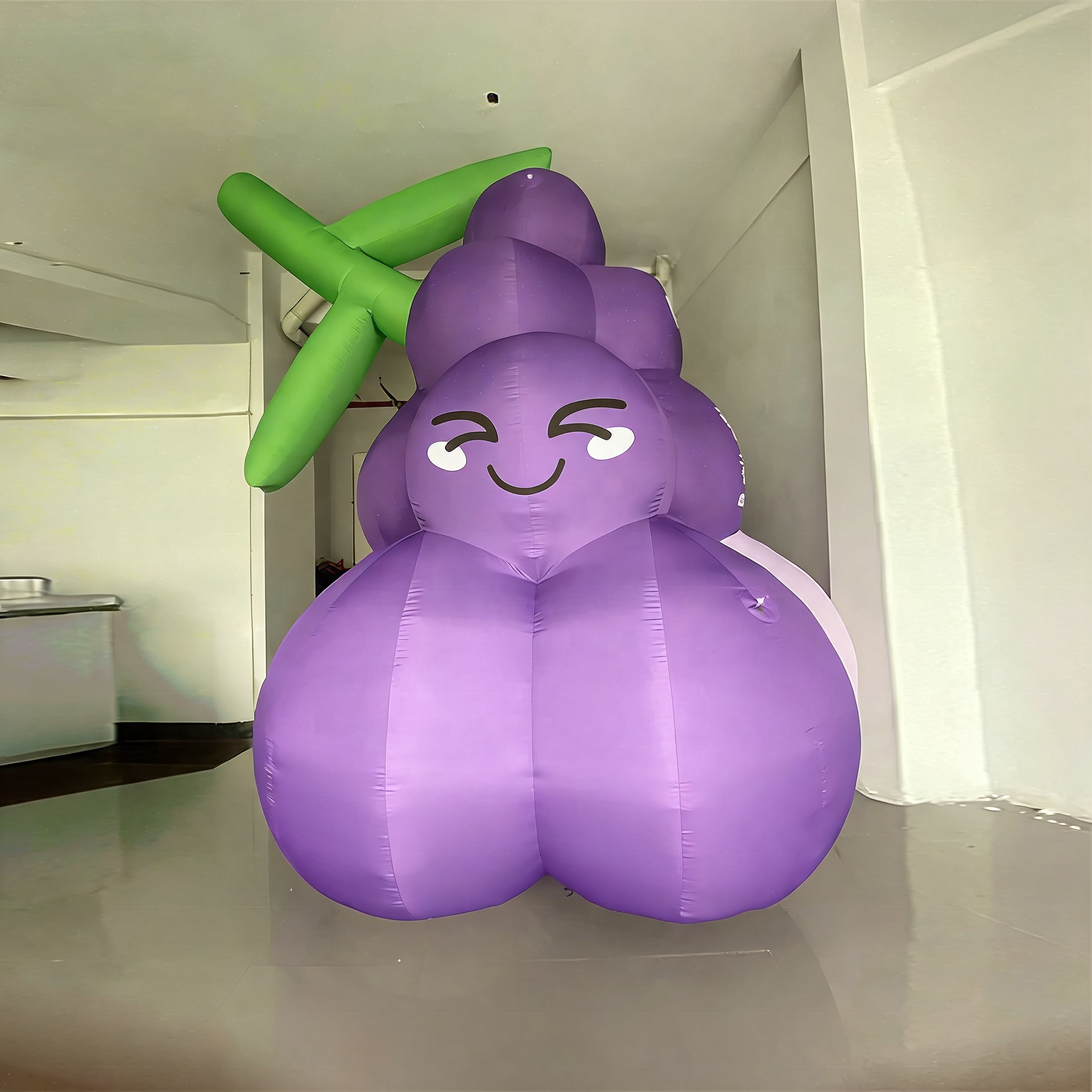 Inflatable Grape Cartoon Display for Promotions and Events